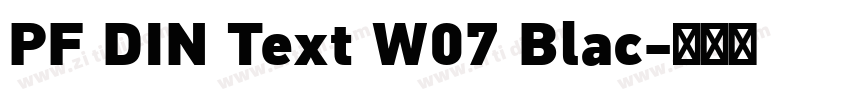 PF DIN Text W07 Blac字体转换
